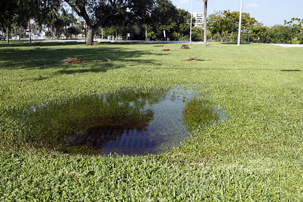 blocked_stormwater_drain